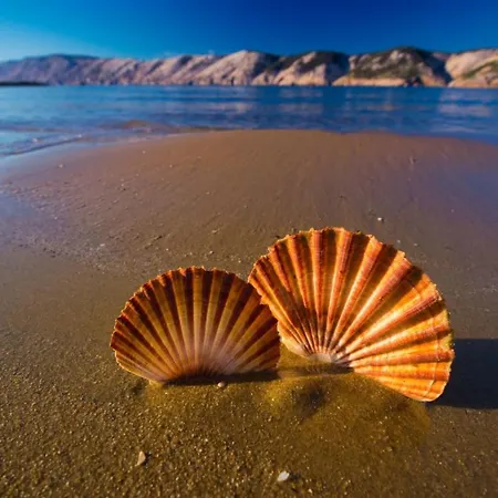 In With Air Conditioning, Wifi 4886-5 Lejlighed *