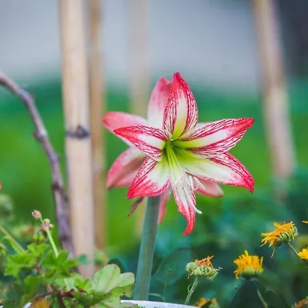 In With Air Conditioning, Wifi 4886-5 *