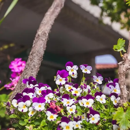 In With Air Conditioning, Wifi 4886-5